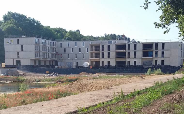 Milvus & Lanius 08jpg