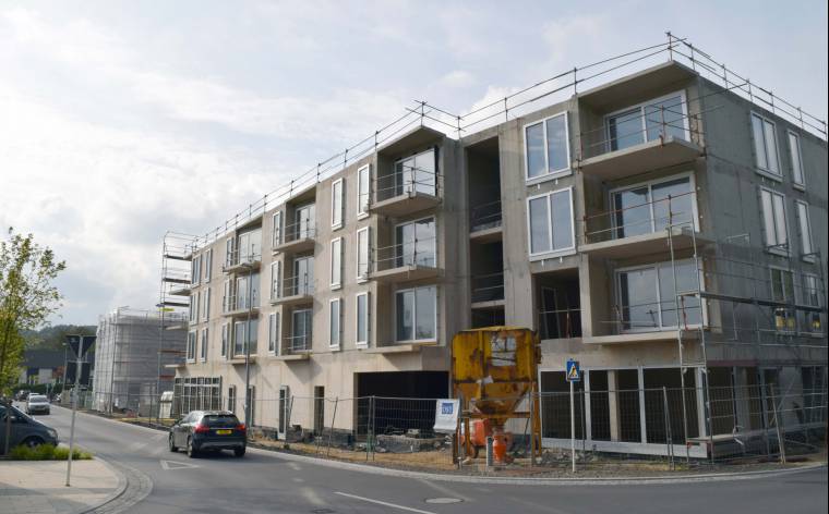 Milvus&Lanius Bouquet  04