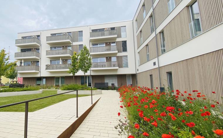 Milvus Lanius 09-2021 002