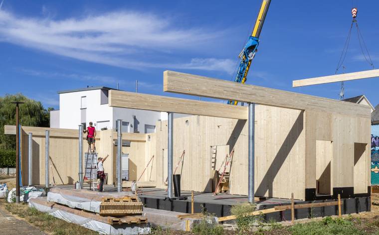 Henri Collette 001.jpg cut cut