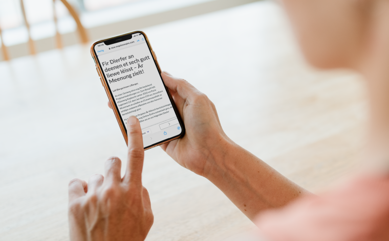 Bridel Part IPhone Mockup