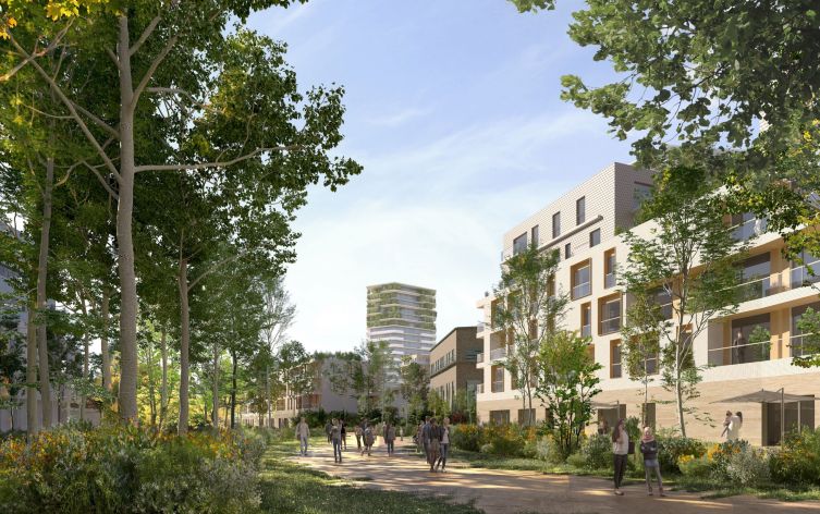 vue allée de la culture