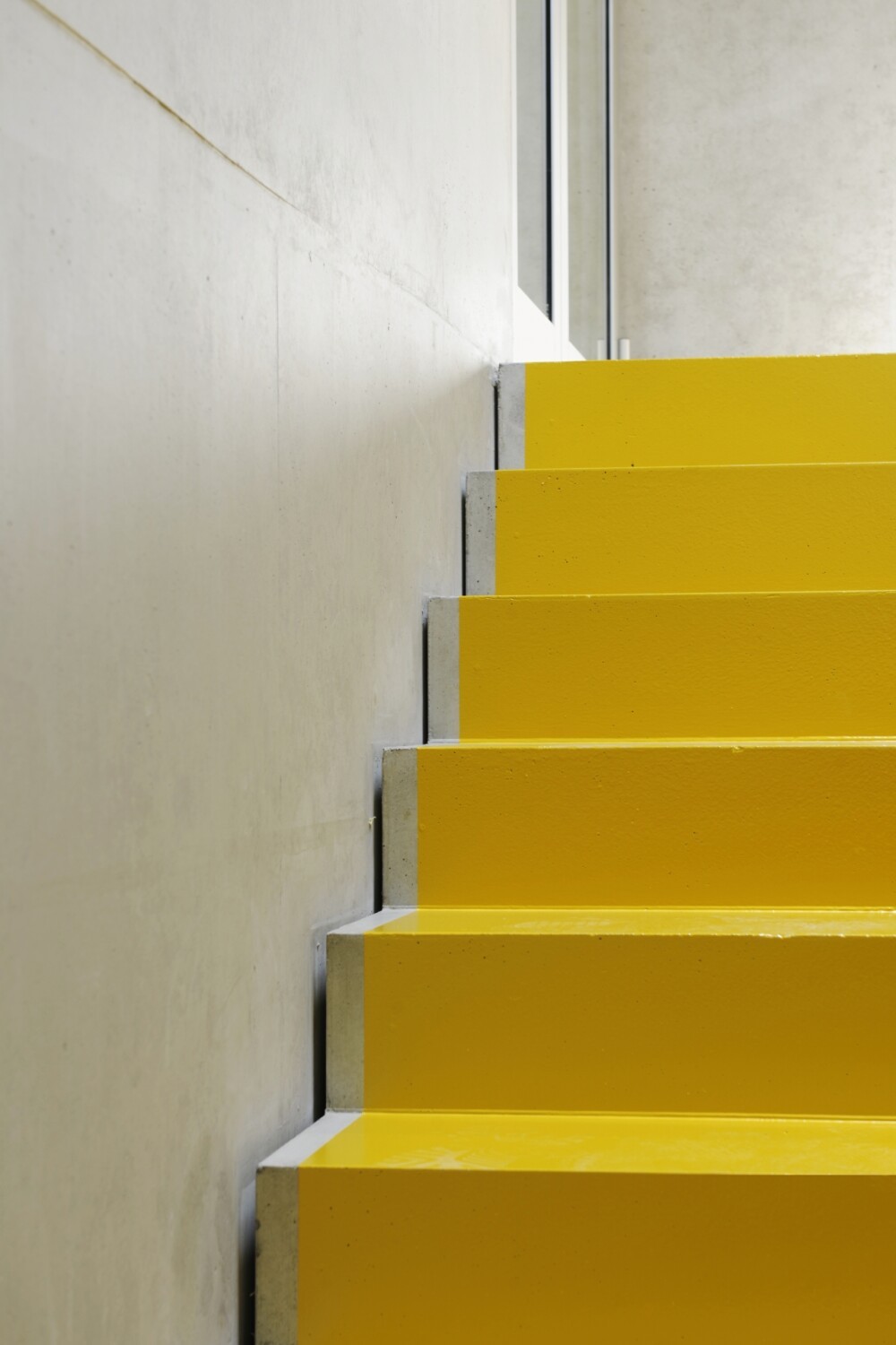 House of Biomedicine, Esch-sur-Alzette (LUX)