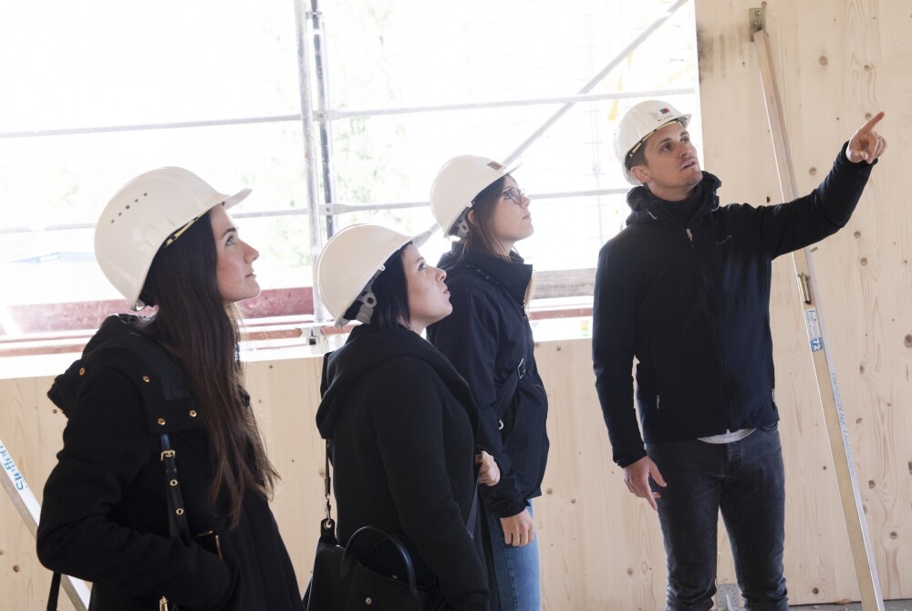 We train our staff: Construction with wood