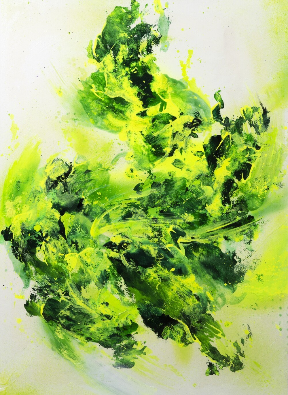 Daniel Mac Llyod (LUX), 2019-20
