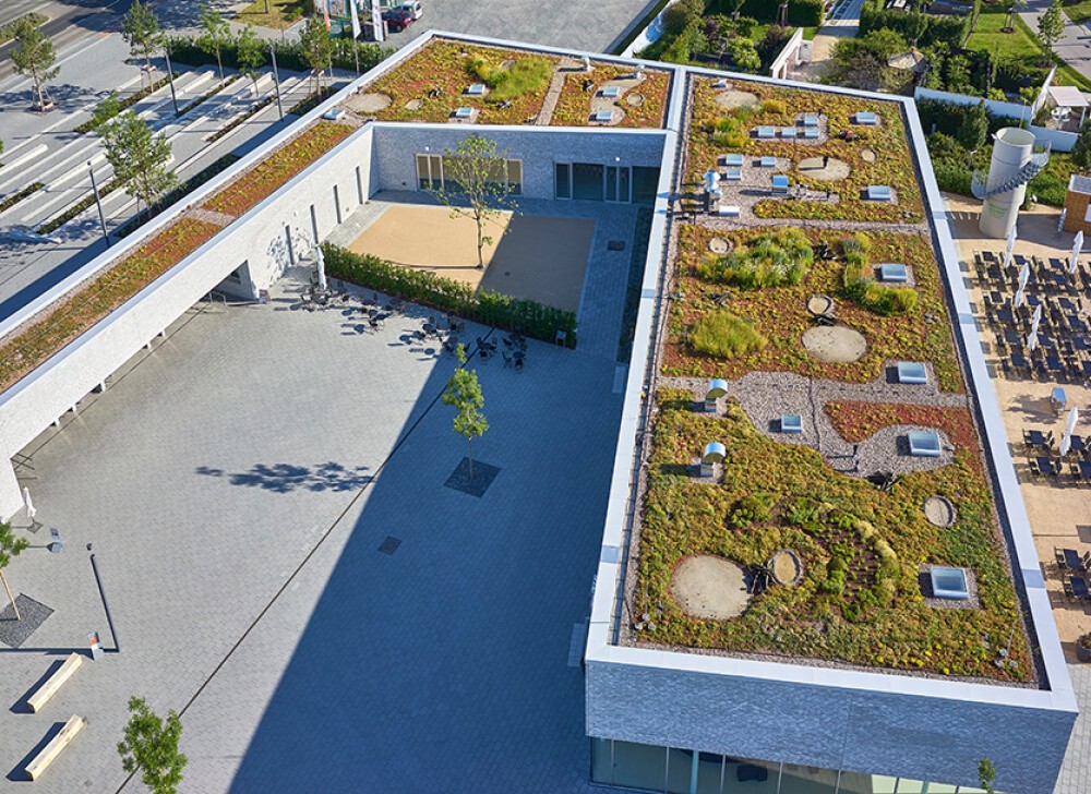 Besucherzentrum 'Gärten der Welt', Berlin (D) - Biodiversitätsdach